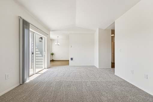 A spacious room with a carpeted floor and a door on the right side.