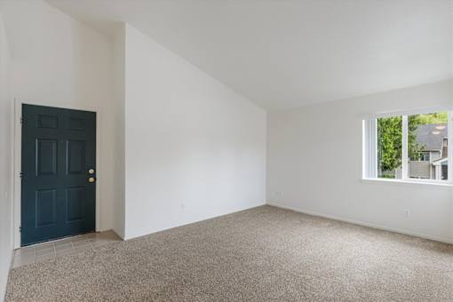 A room with a dark blue door and a window showing greenery outside.
