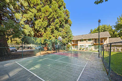 A tennis court is surrounded by a fence and trees.