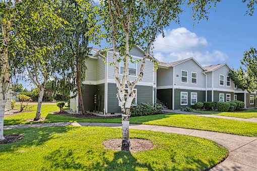 A tree in front of a grey house.