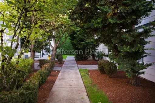 A tree-lined walkway leads to a building entrance.