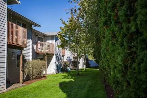 A row of houses with green trees in front.