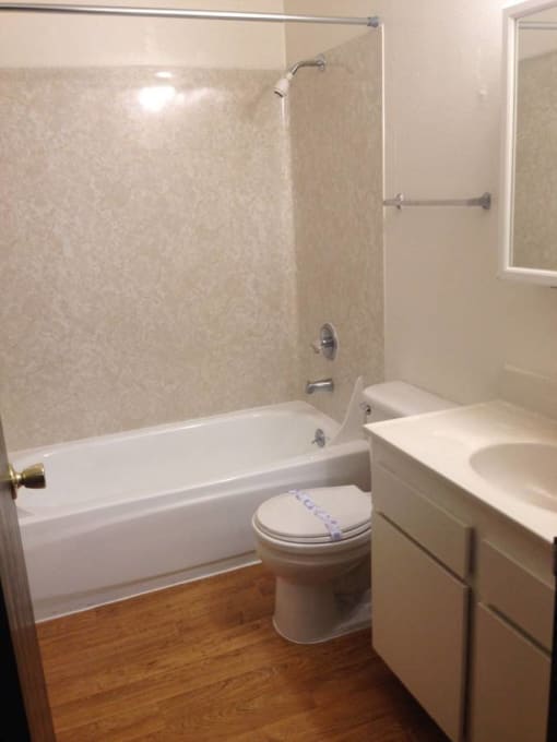 a bathroom with a toilet and a bath tub