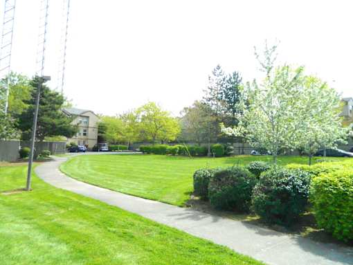 Springwater Trail Apartments Outdoor Area