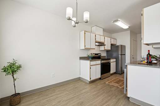 A kitchen with white cabinets and a plant in a pot.