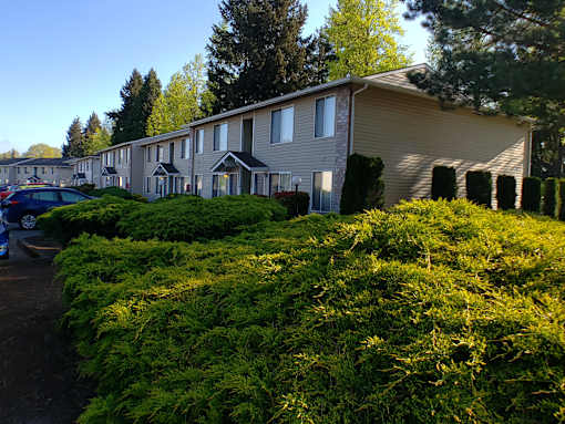 A row of houses with green bushes in front.
