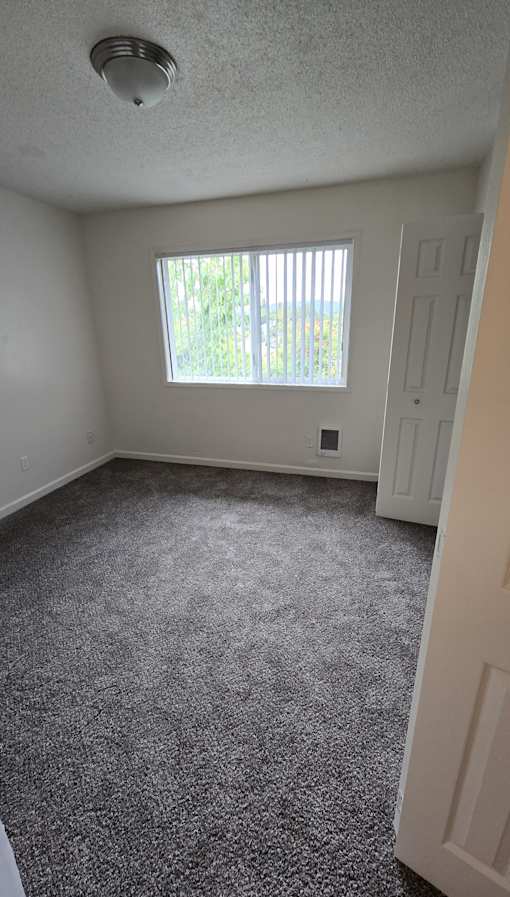 A room with a carpeted floor and a window.
