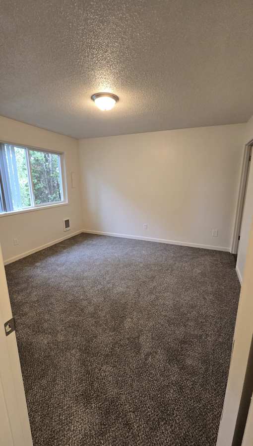 A room with a carpeted floor and a window.