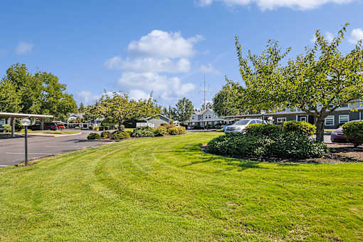 A sunny day at a park with a grassy area and trees.