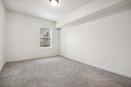 A room with a carpeted floor and a window showing a building outside.