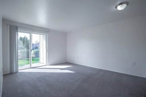 A room with a carpeted floor and a sliding glass door leading to a backyard.