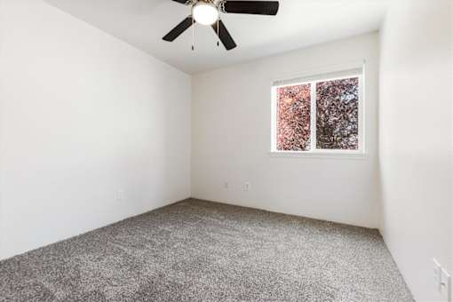 A room with a ceiling fan and a window showing trees outside.