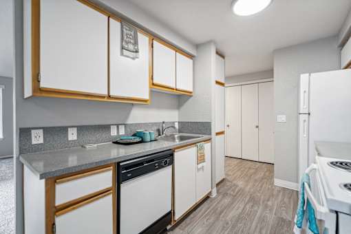A kitchen with white cabinets and a black dishwasher.
