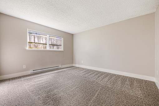 A room with a carpeted floor and a window.