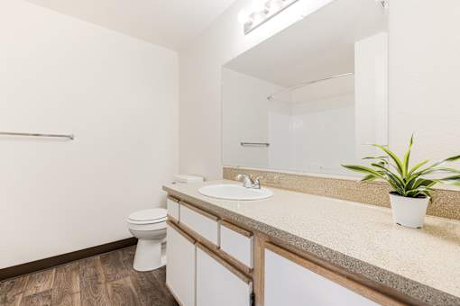 A bathroom with a toilet, sink, and mirror.