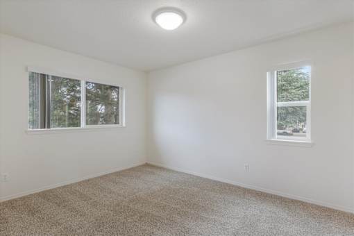 A room with carpeted floor and two windows.