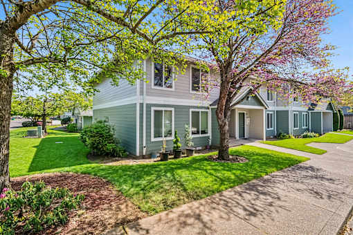 A tree with yellow flowers is in front of a grey house.