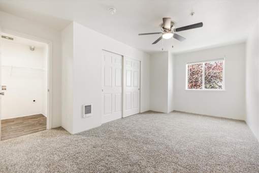 A room with a ceiling fan and a window showing trees outside.