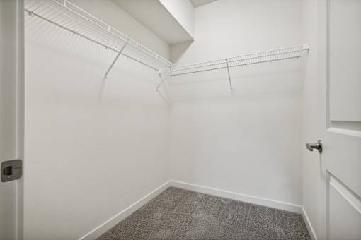 A white closet with a grey carpet and a white door.