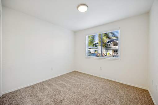 A room with a carpeted floor and a window with blinds.