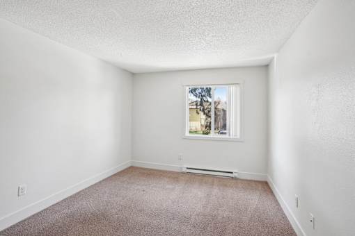 A room with a window and a carpeted floor.