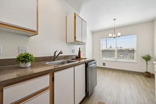 A kitchen with a sink, a window, and a potted plant.