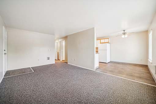 A spacious room with a grey carpet and white walls.