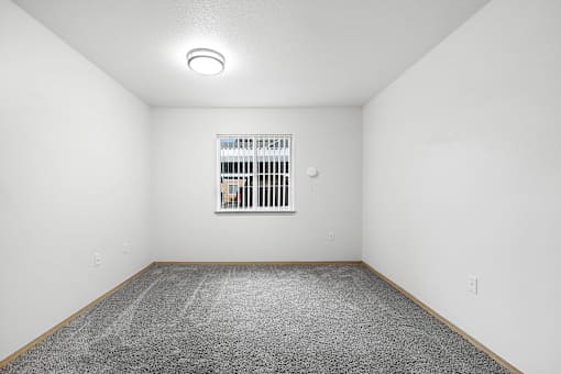 A room with a window and a carpeted floor.