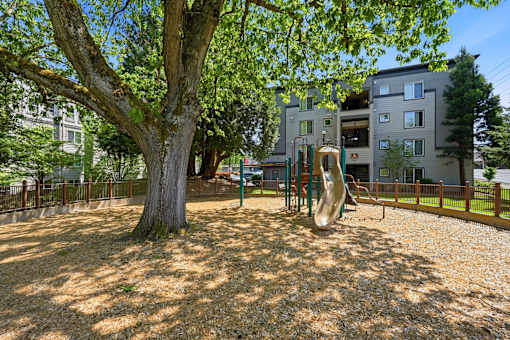 A playground with a slide and a tree in the foreground.