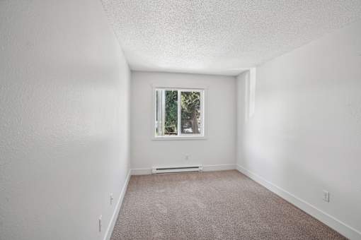 A room with a window and a carpeted floor.