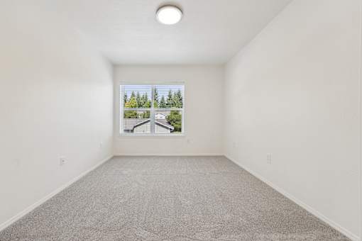 A room with a carpet floor and a window showing trees outside.