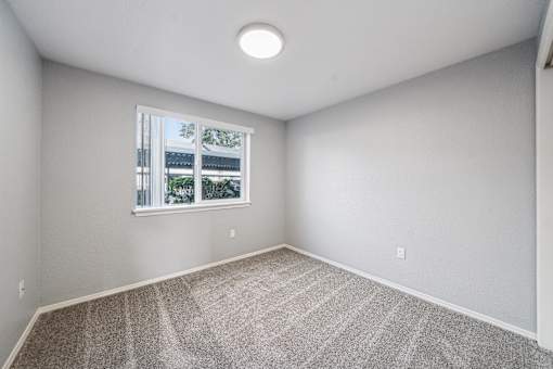 A room with a carpeted floor and a window.