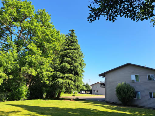 Island Park Apartments Green Space