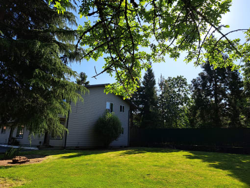 Island Park Apartments Green Space