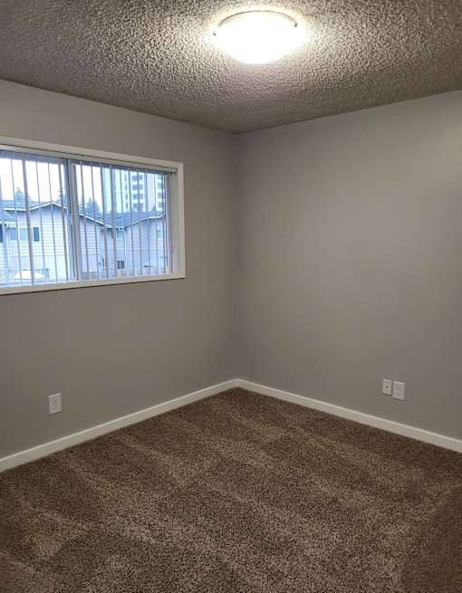 A room with a carpeted floor and a window.