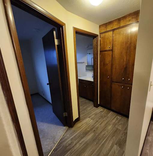 A hallway with a wooden floor and a brown door.