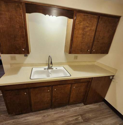 A kitchen with a sink and wooden cabinets.