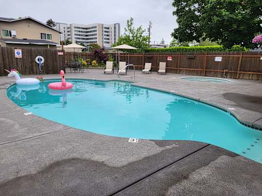 A pool with a pink flamingo float in it.