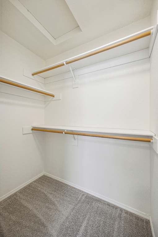 A white wall with a shelf and a carpeted floor.