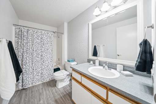 A bathroom with a toilet, sink, and shower curtain.