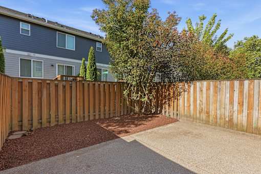 A backyard with a wooden fence and a tree.