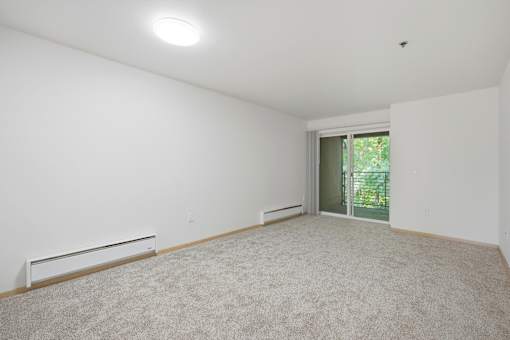 A room with a carpeted floor and a window with a view of trees outside.