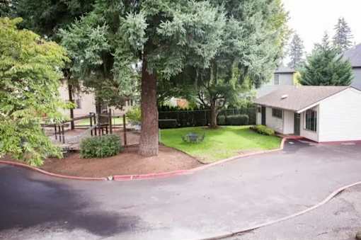A tree in a yard with a house in the background.