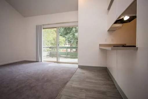 A room with a grey carpet and a white wall with a window.