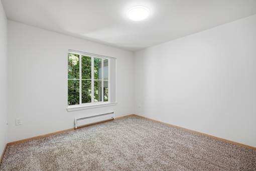 A room with a carpeted floor and a window.