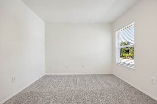 A room with a carpeted floor and a window showing a view of trees and a building outside.