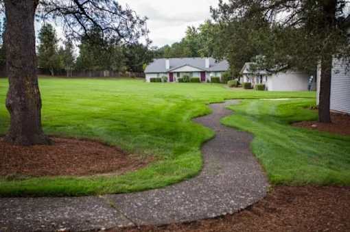 A pathway leads through a grassy area with a tree on the left.