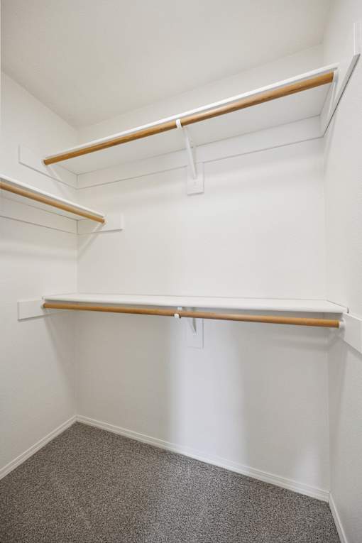 A white wall with a shelf and a grey carpet.