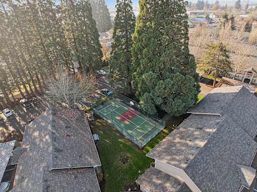A tennis court is surrounded by trees and houses.