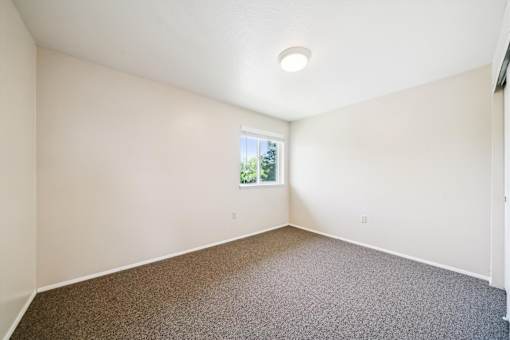 A room with a window and carpeted floor.